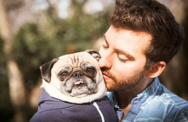 I-a pus numele câinelui ”Amor” și a ajuns să regrete! Cum i-a distrus viața numele patrupedului