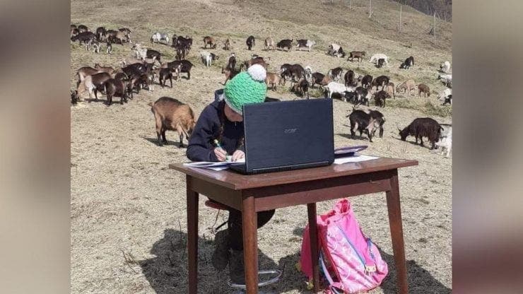 Povestea incredibilă a unei fetițe de 10 ani din Italia! Face școala online între capre, pe vârf de munte