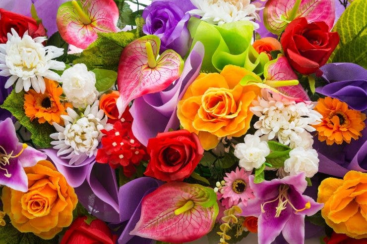 Cele mai frumoase felicitări pentru românii care își serbează ziua de Florii. FOTO