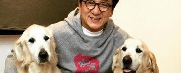 Jackie Chan, Jackie Chan avere, Hong Kong