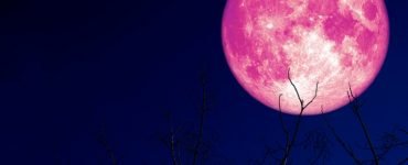 luna roz