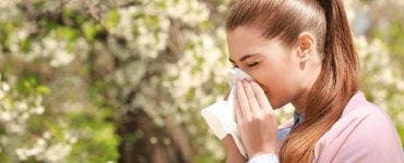 Ce plante îți pot declanșa alergii severe de primăvară? Observațiile Societății Române de Alergologie