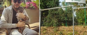 Cum arată centrul în care a fost internat cu forța Fulgy? Cât costă pe noapte