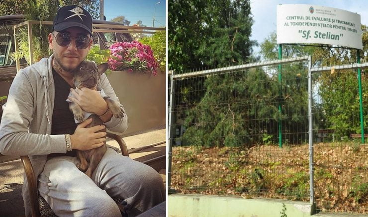 Cum arată centrul în care a fost internat cu forța Fulgy? Cât costă pe noapte