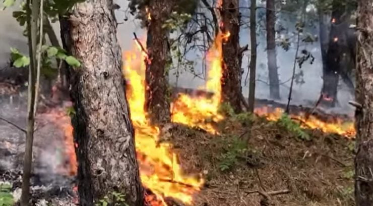 Un nou dezastru natural în România! Parcul Național Porțile de Fier a fost cuprins de flăcări violente 25 incendiu