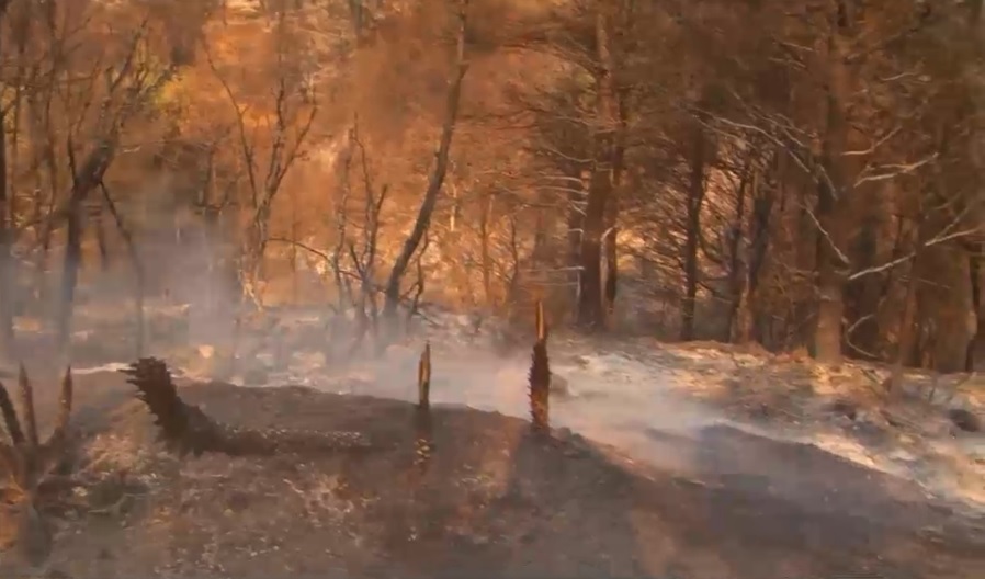 Imagini devastatoare după incendiile din Grecia. Doi oameni au murit și peste 20 de persoane au fost rănite 26 flacari devastatoare