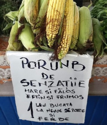 fructe piata