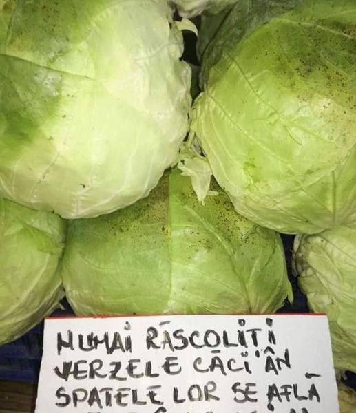 fructe piata