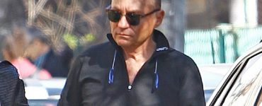 cine era dan petrescu