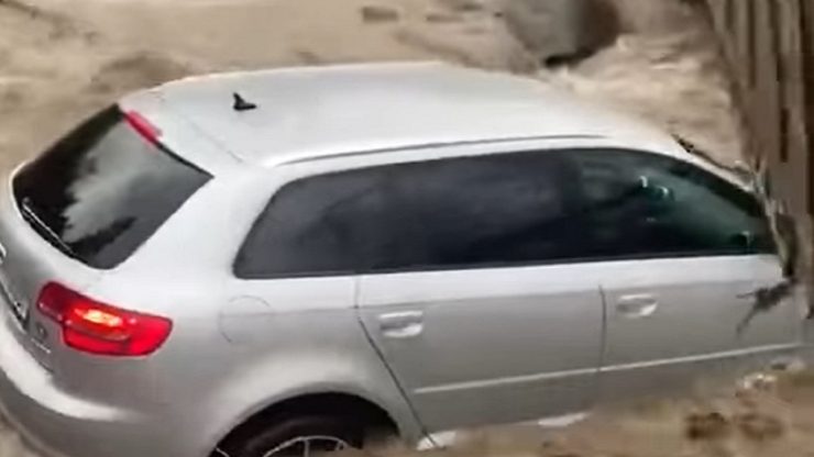 audi luat de ape cheia