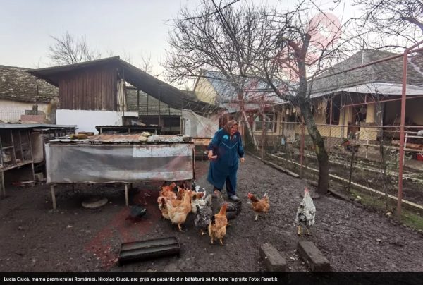 Mama lui Nicolae Ciucă, reacție după acuzația că premierul și-a plagiat teza de doctorat: „Dacă era plagiat, termina ultimul de la coadă” 28 ciuca plagiat teza doctorat