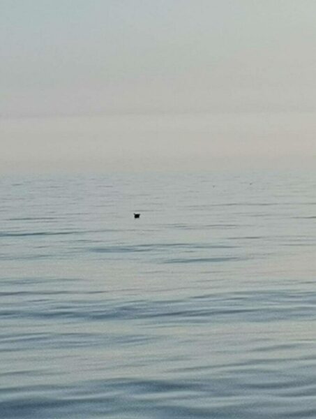 Este alertă la Capul Midia! Mină marină, descoperită de un pescador românesc 26 mina marea neagra