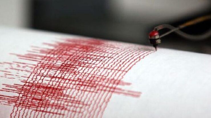 Cutremur în România, 25 aprilie 2022. Două seisme, în primele ore din a doua zi de Paște 23