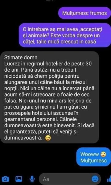 Discuție haioasă între proprietarul unui hotel din Brașov și un ieșean. Ce răspuns a primit după ce l-a întrebat dacă poate să își ia câinele cu el în vacanță 26 conversatie haioasa