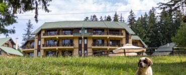 Discuție haioasă între proprietarul unui hotel din Brașov și un ieșean
