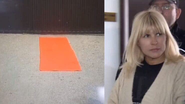 Elena Udrea, așteptată cu covor roșu și papuci Vuitton la Penitenciarul Târgșor