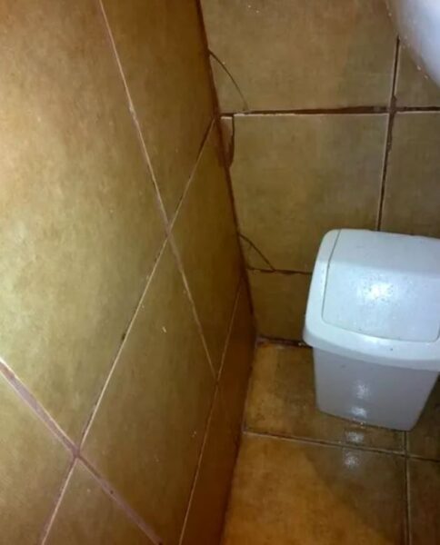 Probleme cazari litoralul romanesc