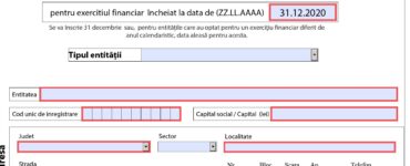 ce cuprinde declarația de inactivitate a unei societăți
