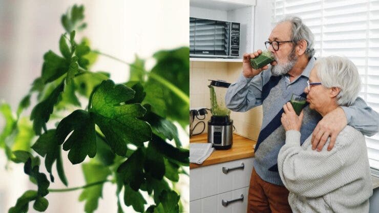 Ce e „cafeaua” din pătrunjel și care sunt beneficiile ei. E inventată și recomandată de un medic român