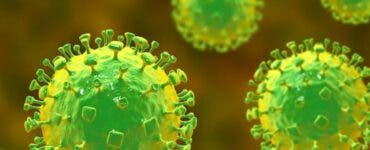 Un nou virus, ”langya”, cu caracteristici asemănătoare noului coronavirus, descoperit în China