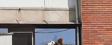 O femeie cu posteriorul aproape gol, aflată pe un balcon, în Târgu Jiu, a atras toate privirile. Imaginea cu ea a devenit virală