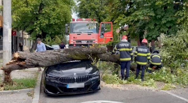 Dublu ghinion pentru un piteștean. Pompierii au scăpat copacul care căzuse peste mașina lui scumpă. Cum a reacționat familia