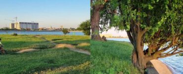 Veste îmbucurătoare pentru bucureșteni! Un nou parc o să fie amenajat în Capitală. În ce zonă o să fie
