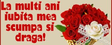 Mesaje La mulți ani pentru iubită