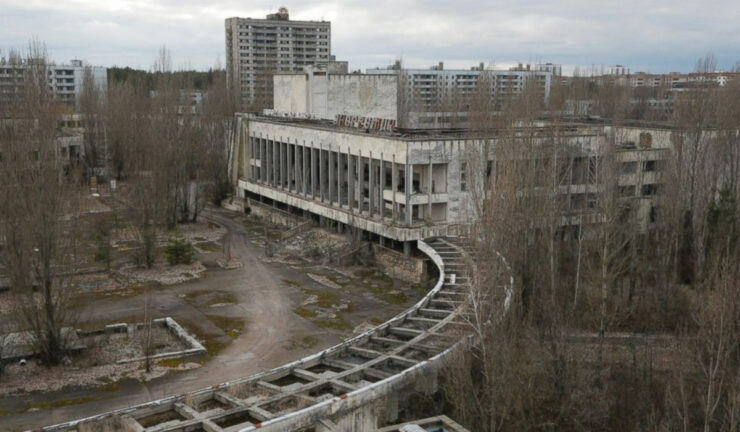 Broaștele din apropierea centralei de la Cernobîl au suferit mutații. Descoperirea făcută de oamenii de știință 25