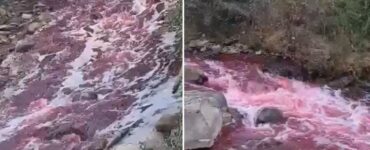 Situație nemaiîntâlnită în Bistrița-Năsăud, care stârnește teamă. Apele unui râu din județ, „pline de sânge”
