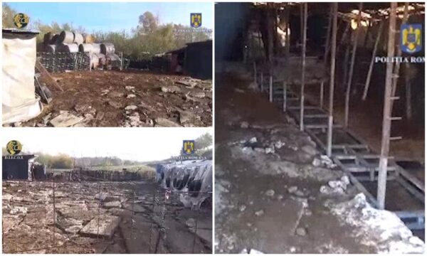 Drama unor frați din Suceava, chinuiți de tată timp de șase ani. Ce îi obliga să facă zi de zi 26