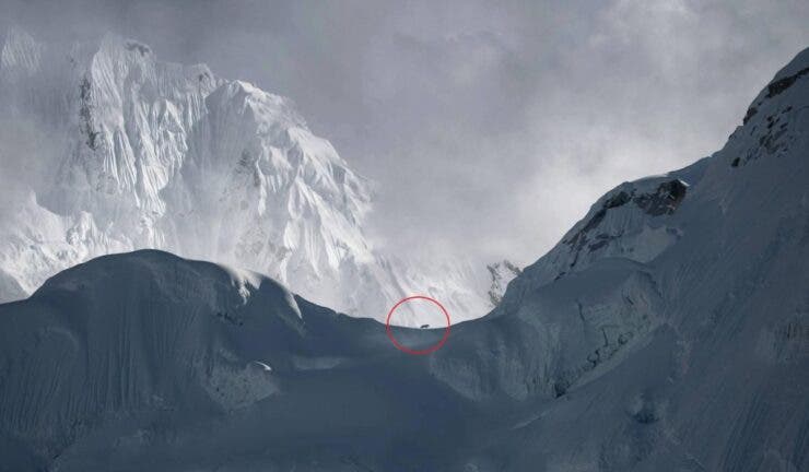 „Fantoma munților”, surprinsă pe Everest. Imaginea cu această creatură rară a făcut ocolul lumii