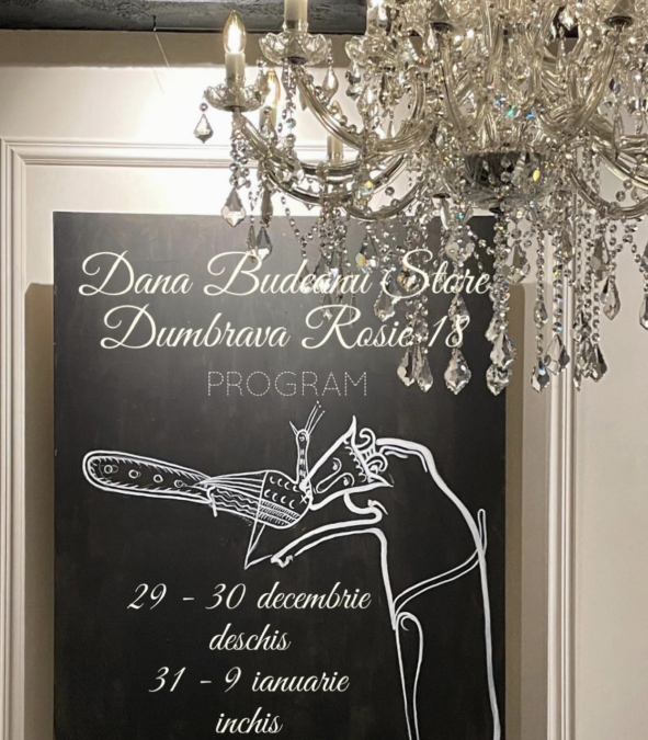 Dana Budeanu, lux și opulență de sărbători. Cum și-a decorat casa creatoarea de modă FOTO 26 Dana Budeanu
