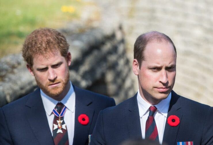 printul harry și printul william