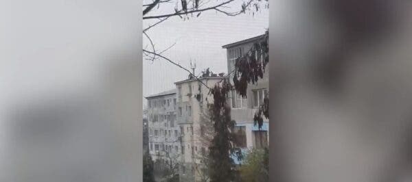 Șase bărbați din Baia Mare au tăiat și pârlit porcul de Crăciun pe acoperişul unui bloc