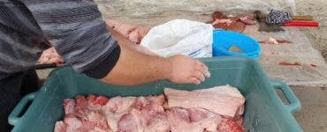 Cât timp se ține carnea la sărat după tăierea porcului? Așa va ține mai mult VIDEO