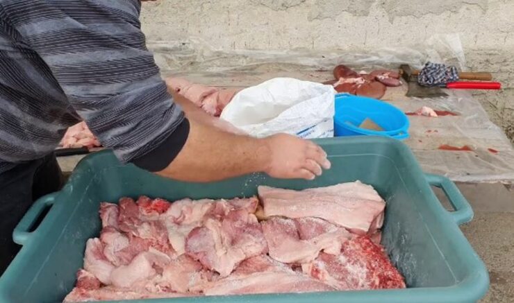 Cât a ajuns la vânzare porcul pentru Crăciun în 2025. Diferențe mari între județe 25 Cât timp se ține carnea la sărat după tăierea porcului? Așa va ține mai mult VIDEO