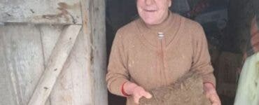Balega uscată, modul prin care țăranii din Botoșani își încălzesc casele: „Cu varză la butoi și tizic treci iarna”