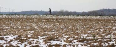 O femeie a fost găsită fără suflare pe un câmp din Harghita. Ar fi murit din cauza hipotermiei
