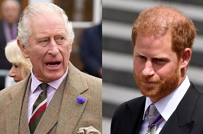 Regele Charles al III-lea i-a sugerat Prințului Harry că nu e fiul lui: „Poate că adevăratul tău tată este...”