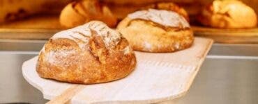 Ce se întâmplă cu pâinea românilor de zi cu zi? O filă de istorie, întoarsă odată cu dispariția acestei fabrici de panificație 