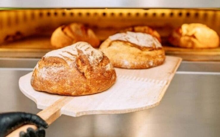 Ce se întâmplă cu pâinea românilor de zi cu zi? O filă de istorie, întoarsă odată cu dispariția acestei fabrici de panificație 