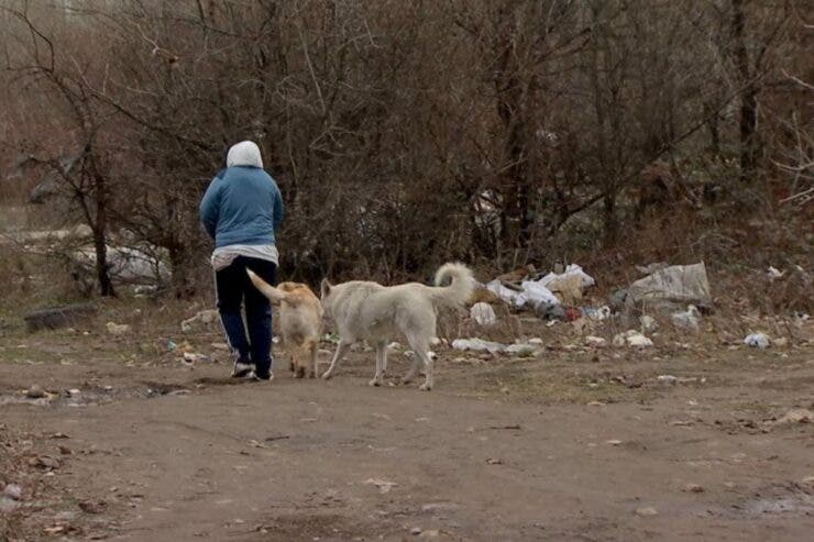 Zone din București unde oamenii îşi riscă viaţa zilnic din cauza câinilor. Dovada că tragedia Anei Oros se poate repeta oricând și în alte părți
