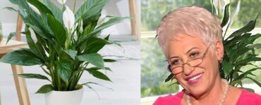 lidia fecioru