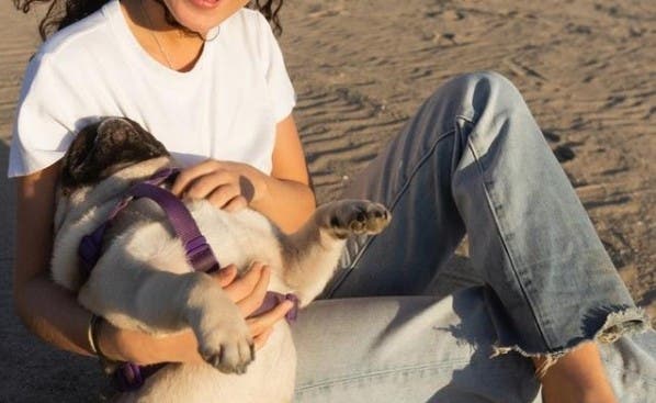 O tânără a crezut că a cumpărat un câine din rasa Pug, dar ulterior a făcut o descoperire care a lăsat-o fără cuvinte. Ce a aflat