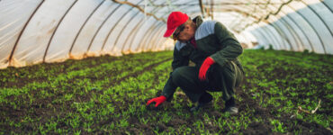 agricultor
