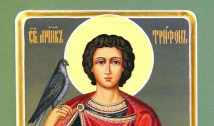 Calendar ortodox 1 februarie 2023. Viața Sfântului Mucenic Trifon