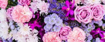 Prețurile buchetelor de flori pentru Ziua Îndrăgostiților 2024