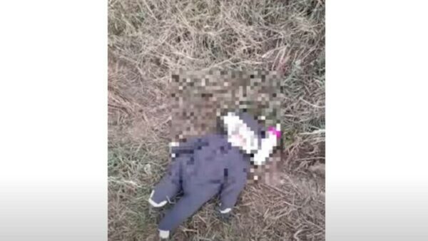 Un bebeluș de cinci săptămâni a fost găsit pe un câmp la marginea unui sat din Sibiu. Fetița avea o sticlă lângă ea 26 Un bebeluș de cinci săptămâni a fost găsit pe un câmp la marginea unui sat din Sibiu. Fetița plângea și avea o sticlă lângă ea