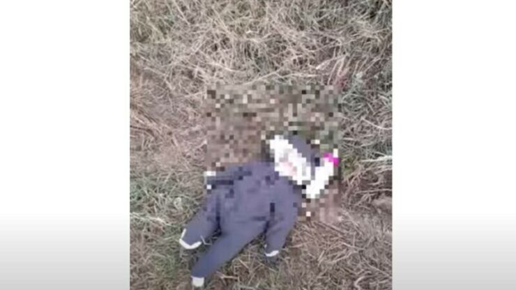Un bebeluș de cinci săptămâni a fost găsit pe un câmp la marginea unui sat din Sibiu. Fetița avea o sticlă lângă ea 25 Un bebeluș de cinci săptămâni a fost găsit pe un câmp la marginea unui sat din Sibiu. Fetița plângea și avea o sticlă lângă ea